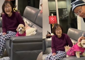 Video: Dog Sits Still When It’s Time to Leave Grandparents’ Home