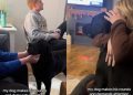 Video: Dog Goes to Every Guest, Turn by Turn, to Get Attention