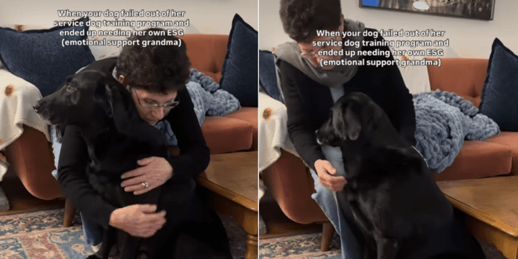 Dog Is a Fan of Grandma’s Hugs in Adorable Video