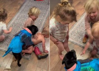 Video: Staffy Is Invested in ‘Playing Pretend’ With Kids