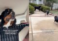 Dog’s Owners Drive 6 Hours to Parents’ House So He Can Be Happy