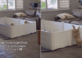 Camera Catches Golden Retriever Puppy Escaping the Play Pen
