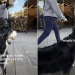 Dog Finds Owner’s Boyfriend in Public Just by Scent