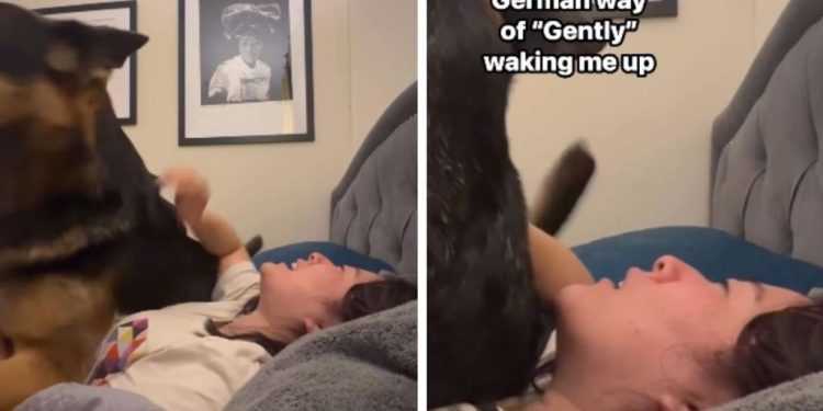 Dog Has a Quirky Way of Waking up Mom & It Will Completely Surprise You