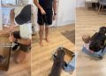 Dog Takes Little Baby Along for Ride as They Zoom by on Sled Dad Made