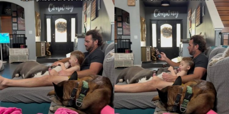 ‘Vicious’ Dog Showers Little Boy With Endless Love