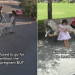 Golden Retriever Never Leaves Little Girl’s Side for a Special Reason