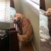 Senior Golden Retriever Will Never Stop Needing Mom’s Comfort When Life Gets Scary