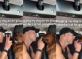 Golden Retriever Couldn’t Care Less About Dad’s Rules at Grandma’s