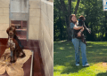 Shelter Dog Relaxes in Mom’s Arms After Adoption, Already Learning To Trust Again