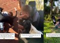 Rescue Dog Chose Little Boy on Day 1, Still Sneaks Into His Bed for Cuddles