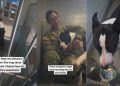 Shelter Dog Waiting for Nearly 300 Days Is Battling Against Time