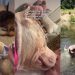 Human’s Chance Meeting With Shelter Dog Leads to Beautiful Foster Fail Story