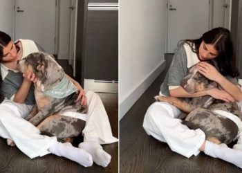 Rescue Dog Gets a Sweet Pep Talk From Foster Mom Before Adoption Event