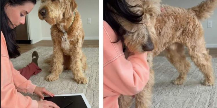 Dog Senses Mom’s Pain & Comforts Her as She Breaks Down