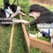 Shelter Dog’s Life Hasn’t Been Fair but a Break With Human Makes the Tough Days Easier