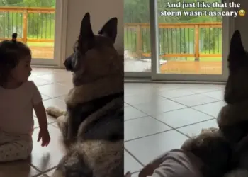After Toddler Senses Dog Is Afraid of the Rain, She Makes the Sweetest Gesture