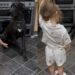 Toddler Walks up to Big Dog With a Treat, Then Adorably Has Her Do Tricks & She Listens