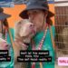 Shelter Dog’s Happiness Is Momentary as Her Reality Is Truly Heartbreaking