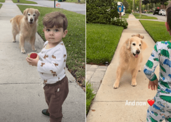 Toddler Recreates Sweet Moment With Golden Retriever Years Later & Not Much Has Changed