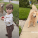 Toddler Recreates Sweet Moment With Golden Retriever Years Later & Not Much Has Changed