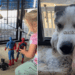 Oldest Shelter Dog’s Weekend Getaway With Kids Brings Out His Real Personality