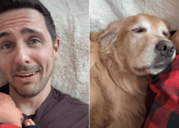 Golden Retriever Is Practically Attached to Baby During Their Joint Naptime
