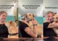 Human Hugs Rescue Dog, Showing He May Not Be Perfect, but He’s Still ‘Not Hard To Adopt’