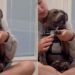 Human Adopts ‘Aggressive’ Shelter Dog on the Clock, Now He Sits in Her Lap Like a Baby