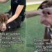 Shelter Dog Waits in Her Kennel, ‘Invisible’ to People Who Walk Past Her