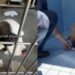 Shelter Dogs Get a Heartwarming Surprise That They Weren’t Prepared For