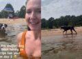 Shelter Dog Is Convinced Human Needs Rescuing While Swimming & Does the Sweetest Thing Next