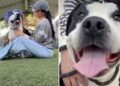 Surrendered Shelter Dog Briefly Finds Happiness, Unaware That His Clock Is Ticking