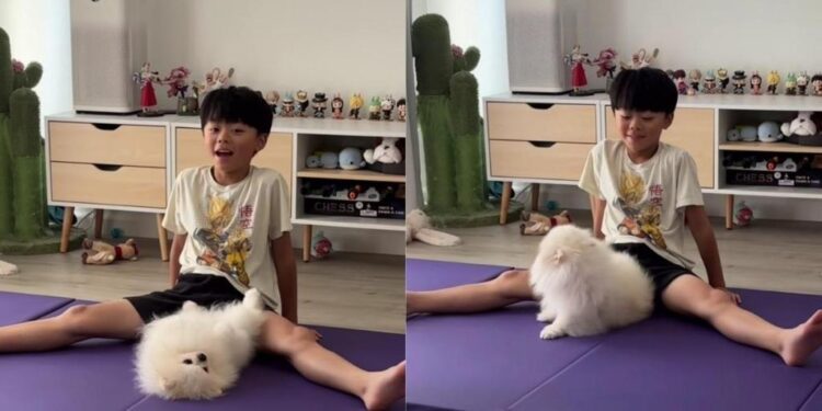 Dog Shares a Stretching Mat With Kid Who’d Rather Have Less Space Than Disturb Him