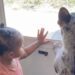 Dog Gets Into a Sibling-Like Squabble With Toddler, Who Looks Ready To Tell Mom